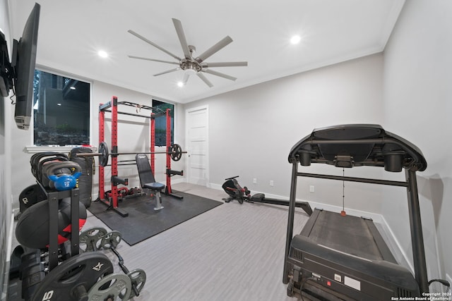 workout area with ceiling fan and crown molding