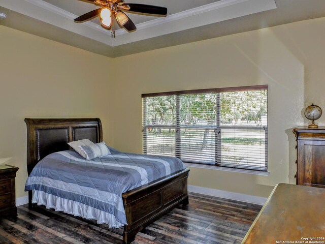 bedroom with dark hardwood / wood-style flooring, ceiling fan, and a raised ceiling