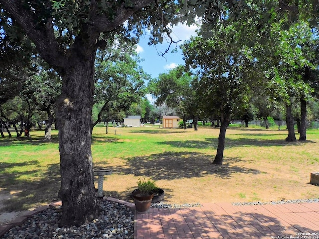 view of yard featuring a storage shed