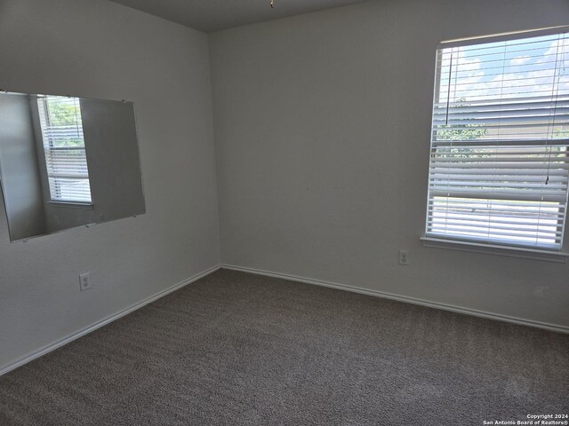 carpeted empty room featuring plenty of natural light