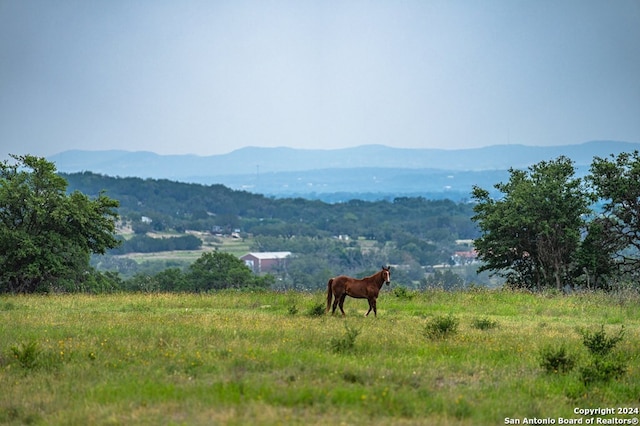 mountain view featuring a rural view