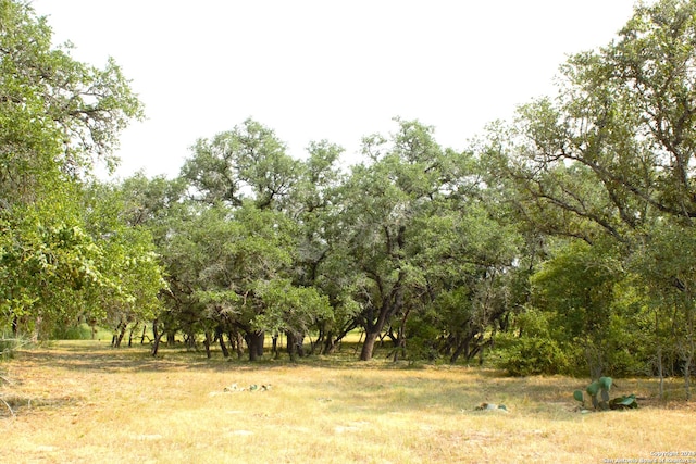 307 Silva Ln, Somerset TX, 78069 land for sale