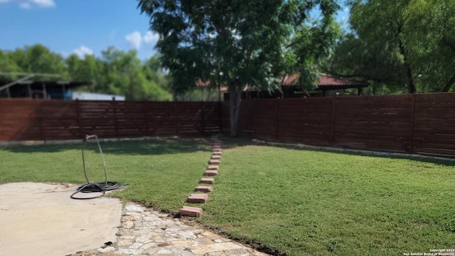 view of yard featuring a patio area