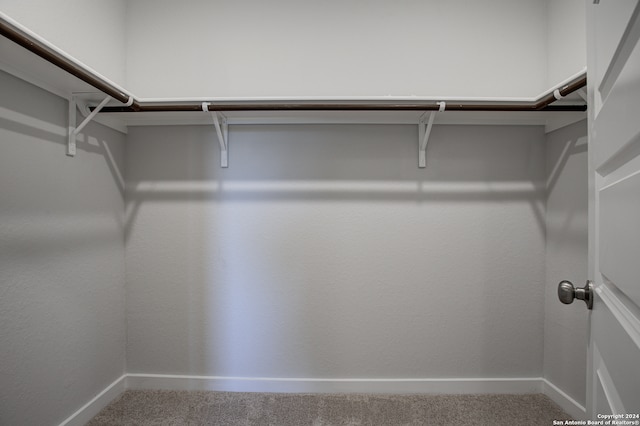 walk in closet featuring carpet flooring