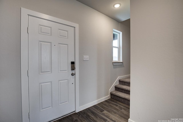 entryway featuring dark wood-type flooring