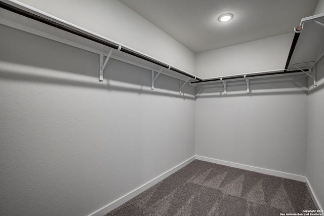 walk in closet with dark carpet