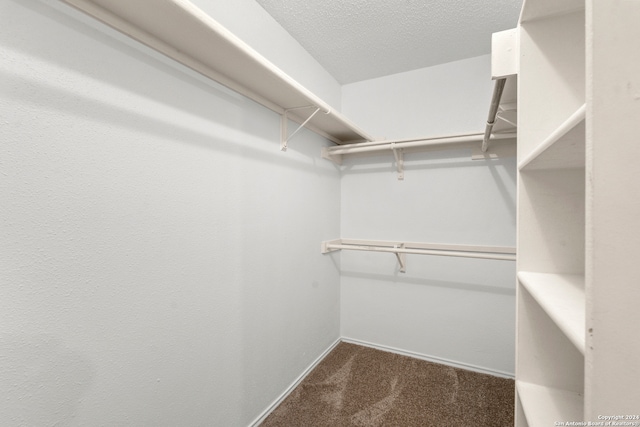 spacious closet featuring dark colored carpet