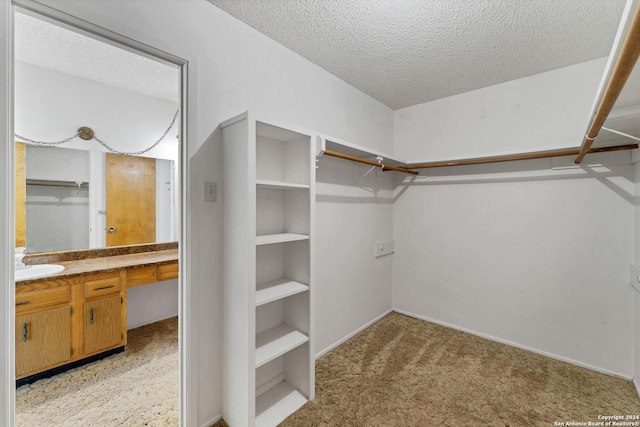 spacious closet with sink and light colored carpet