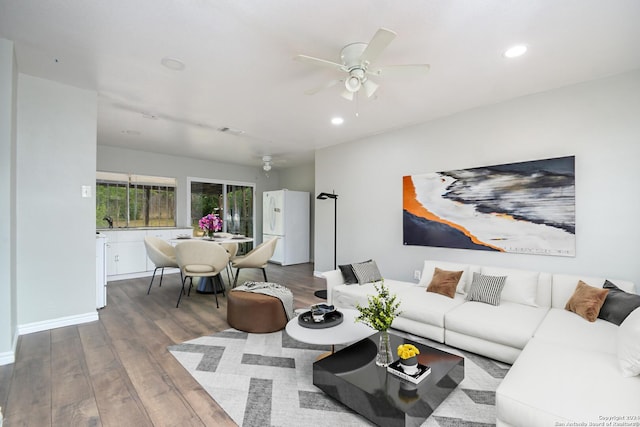 living room with ceiling fan, sink, and wood-type flooring