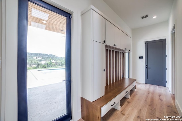 mudroom with a wealth of natural light and light hardwood / wood-style floors