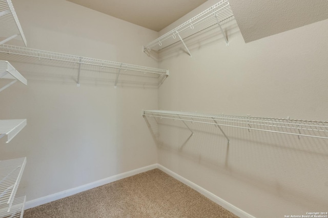 spacious closet with carpet floors