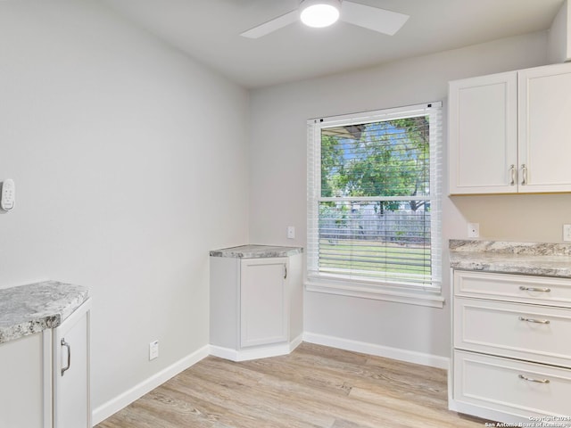 clothes washing area featuring ceiling fan and light hardwood / wood-style flooring