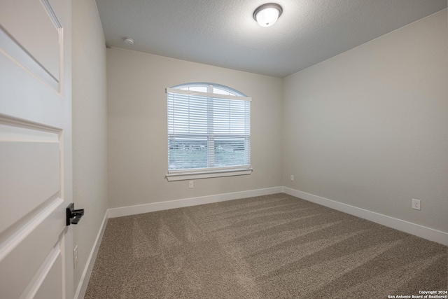 empty room with carpet floors and a textured ceiling