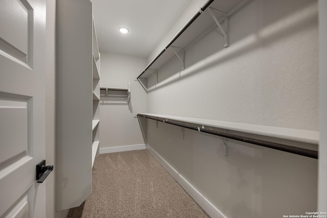 spacious closet with light carpet