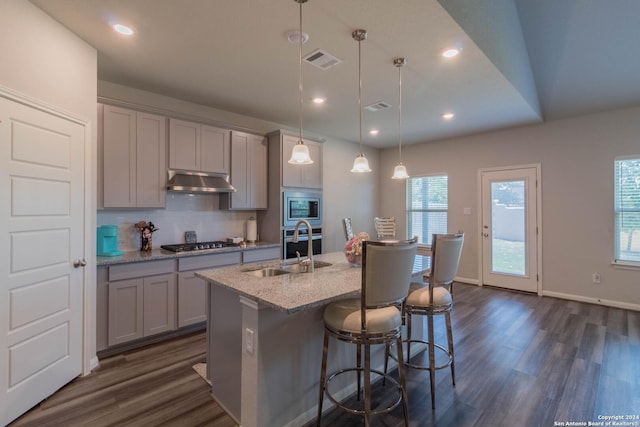 kitchen with gray cabinetry, stainless steel appliances, sink, pendant lighting, and an island with sink