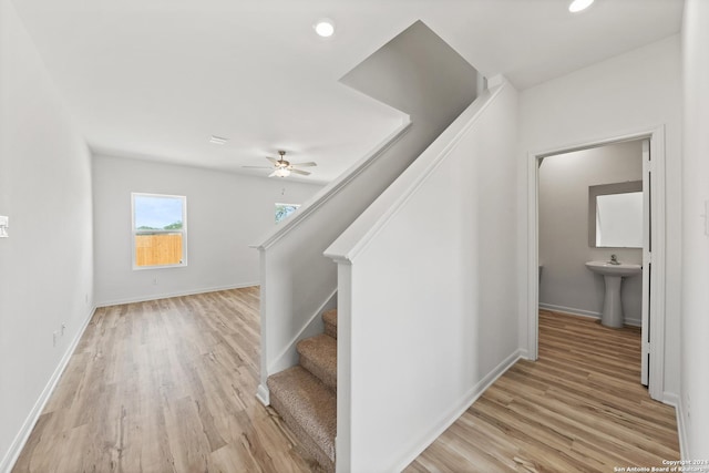 stairs with wood-type flooring, sink, and ceiling fan