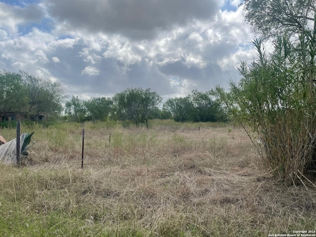 view of local wilderness featuring a rural view