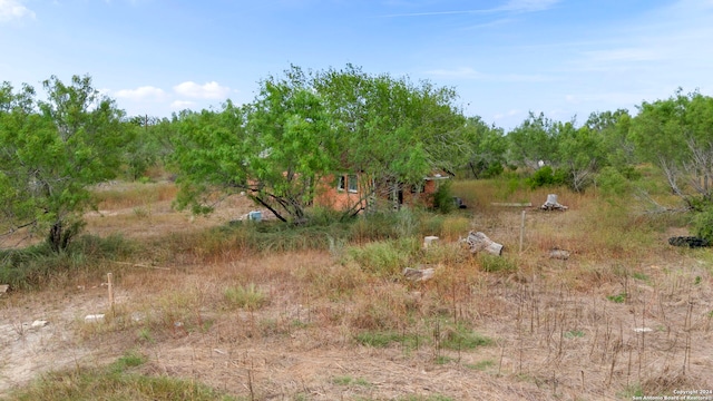 view of nature featuring a rural view