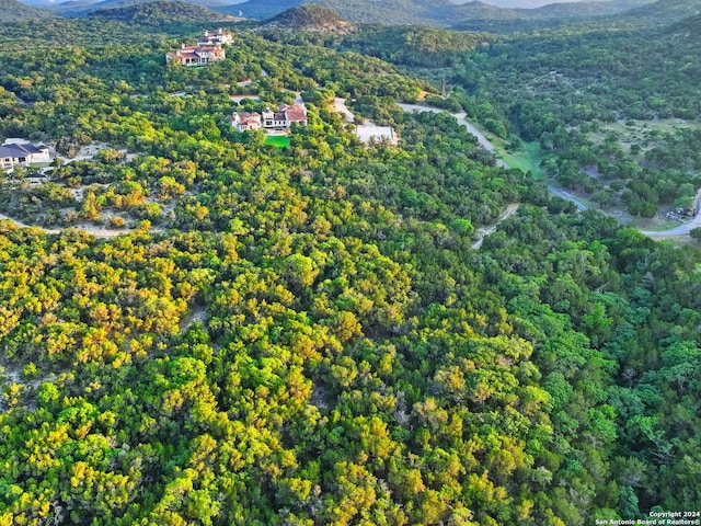 bird's eye view featuring a mountain view