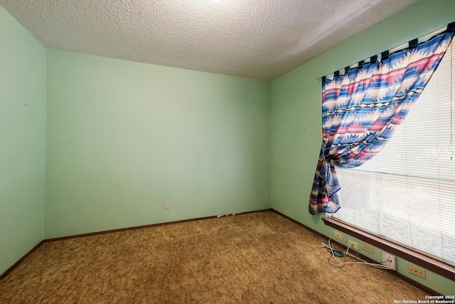 spare room with carpet and a textured ceiling