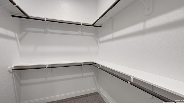 walk in closet with carpet floors