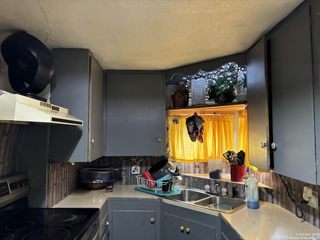 kitchen with sink, a textured ceiling, and electric range