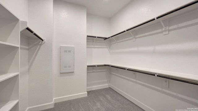 walk in closet featuring light colored carpet