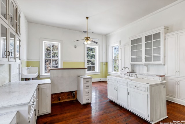 kitchen with dark wood-style flooring, a sink, glass insert cabinets, and white cabinets