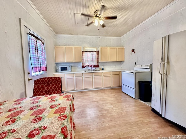 kitchen with white appliances, light hardwood / wood-style flooring, plenty of natural light, and sink