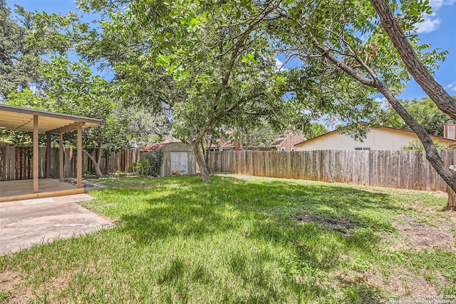 view of yard featuring a patio area and a storage shed