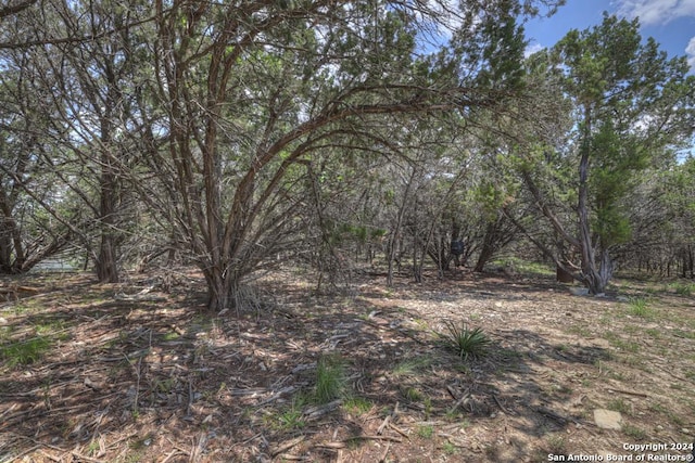 120 Sierra Way, Canyon Lake, TX 78133 - view of landscape