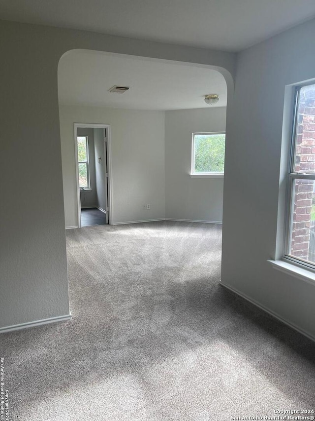 empty room featuring a wealth of natural light and carpet floors