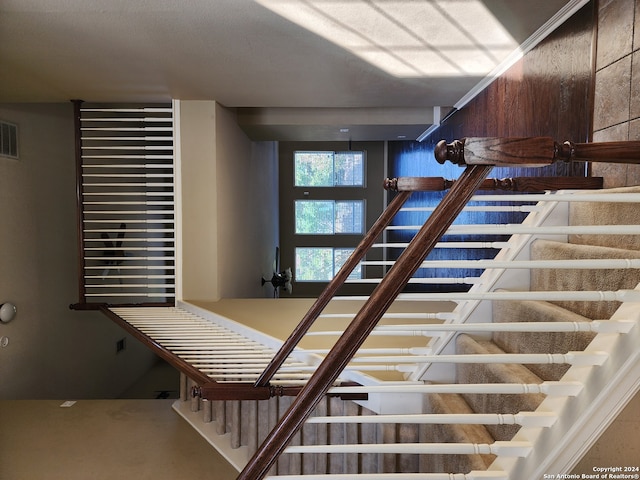 staircase featuring carpet