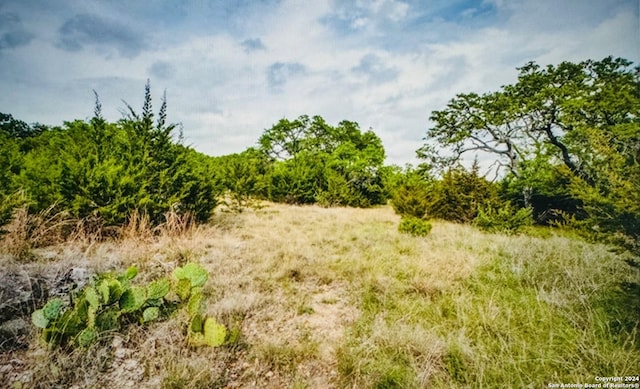 Listing photo 3 for 609 Kings Point Dr, Canyon Lake TX 78133