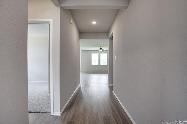 corridor with hardwood / wood-style flooring