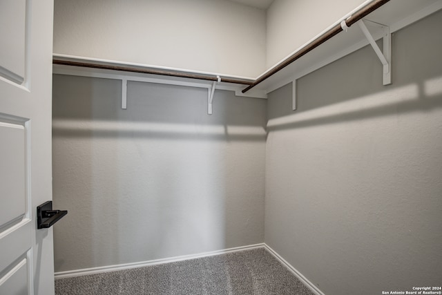 spacious closet featuring carpet