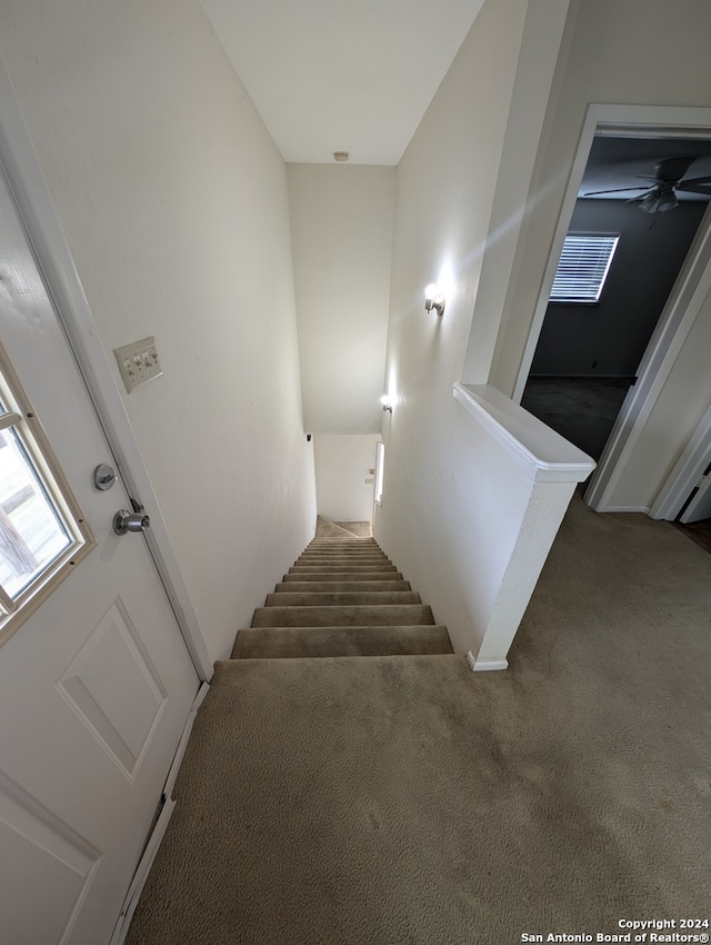 stairway with ceiling fan and dark carpet