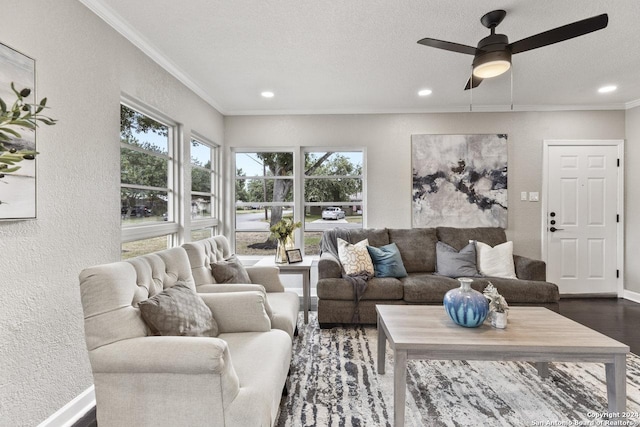 living room with hardwood / wood-style floors, ceiling fan, ornamental molding, and a textured ceiling