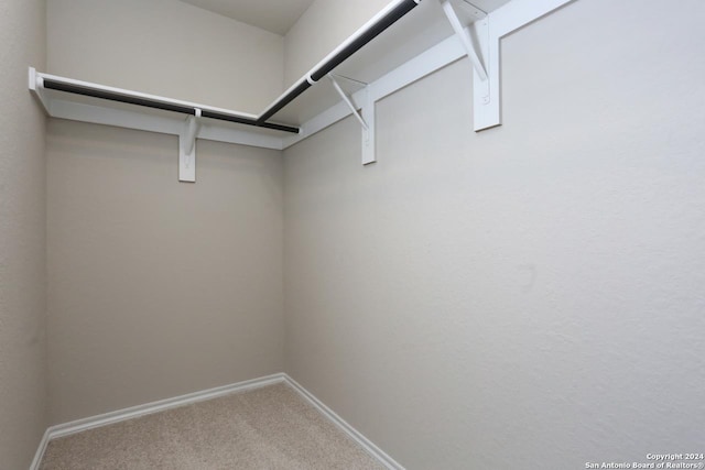 spacious closet with carpet