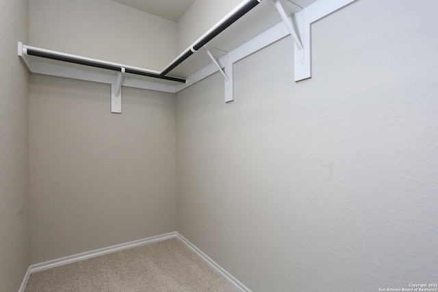 spacious closet featuring carpet floors