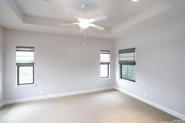 spare room with a raised ceiling, carpet flooring, and a healthy amount of sunlight