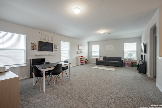 living room with dark colored carpet