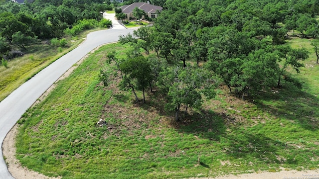 Listing photo 3 for 0 Tbd, New Braunfels TX 78132