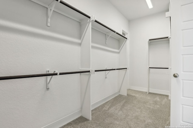 walk in closet with light carpet