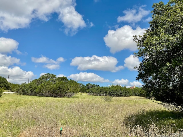 Listing photo 3 for 105 Steve Baker, Blanco TX 78606