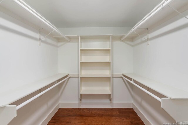 walk in closet with dark hardwood / wood-style floors