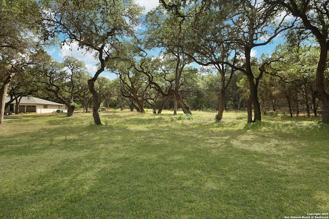 19819 Bat Cave Rd, San Antonio TX, 78266 land for sale