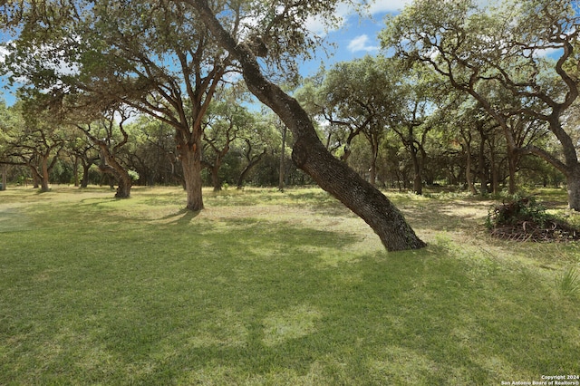 Listing photo 2 for 19819 Bat Cave Rd, San Antonio TX 78266