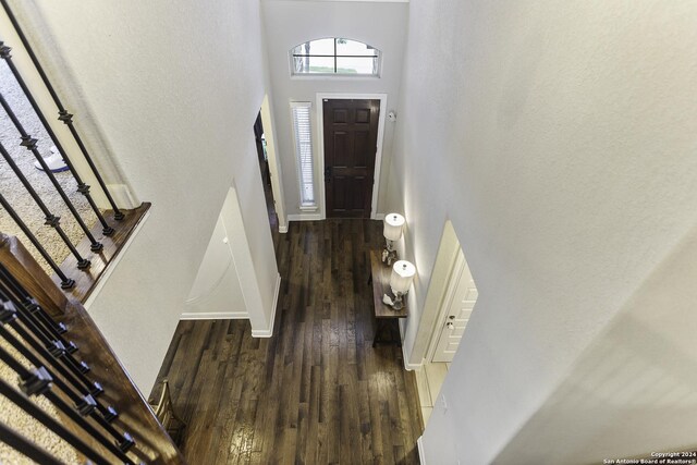 entrance foyer featuring dark hardwood / wood-style floors and a high ceiling