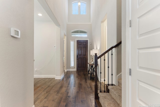 entrance foyer featuring a high ceiling and dark hardwood / wood-style floors